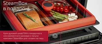 SteamBox в подарок Teka